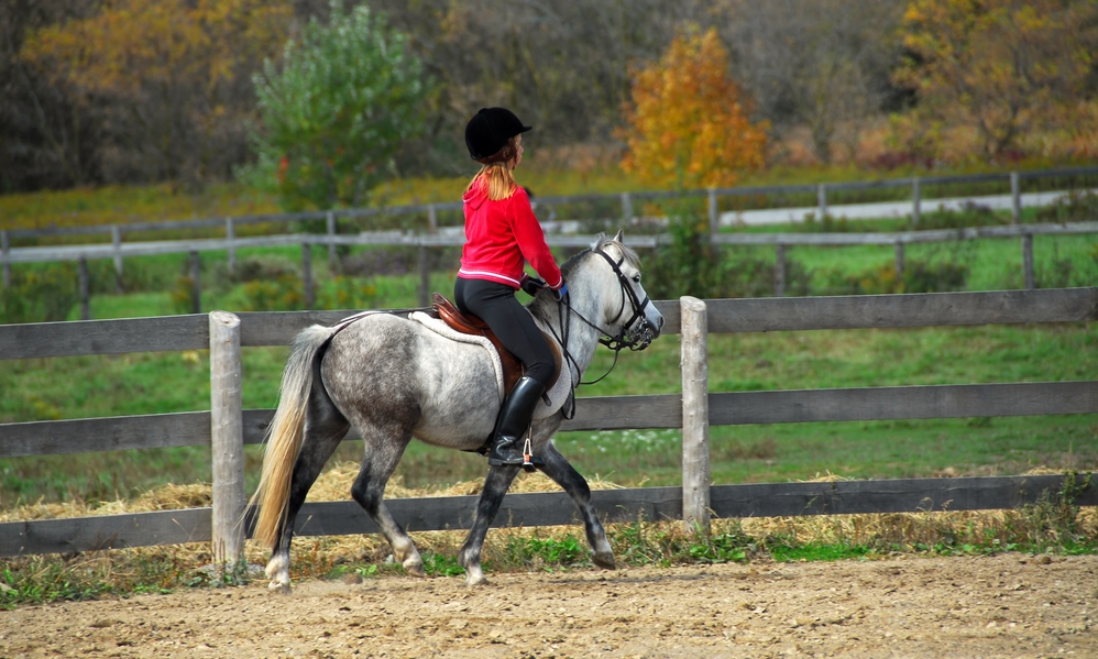 Clanabogan Riding Stables