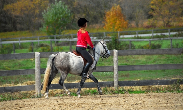 Aillecross Equestrian Centre