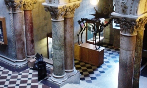 Northern Ireland War Memorial