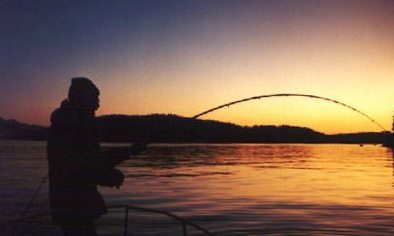 Rathbeggan Lakes Angling Centre