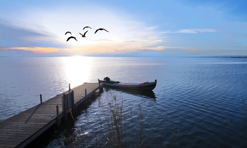 T-Bay Surf & Wildlife Centre