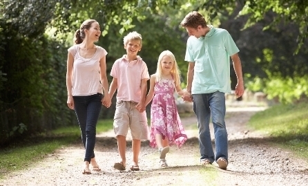 Ballymaloe Farm Walk & Maze