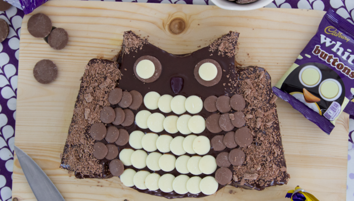 Cadbury Buttons Owl Cake Recipe 