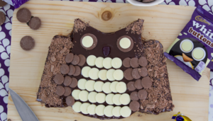 Cadbury Buttons Owl Cake Recipe 