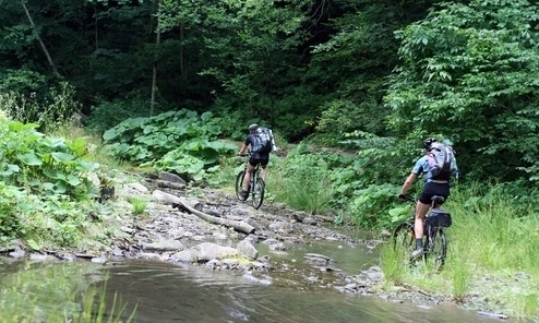 Wildflower Mountain Biking