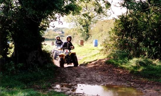 Bridgefield Buggies Ltd