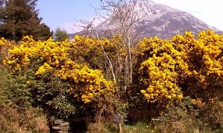 Dunlewey Lakeside Centre