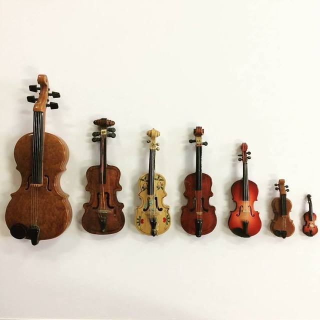 Suzuki Violin Lessons