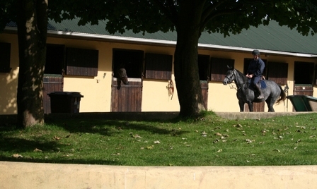 Hillcrest Equestrian Centre