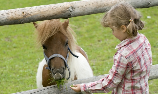 Horse Riding Ireland