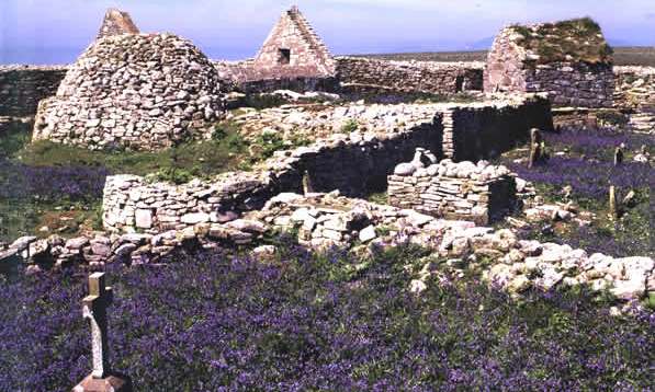 Inishmurray Island Tours