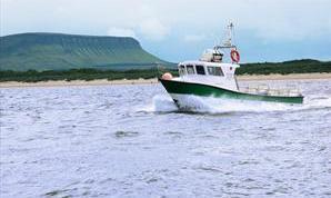 Inishmurray Island Trips