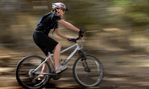 Kingfisher Cycle Trail