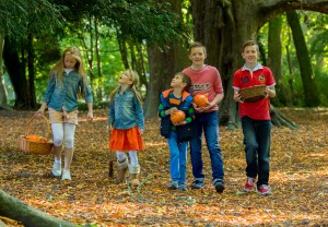 Castlecomer Discovery Park Halloween Events