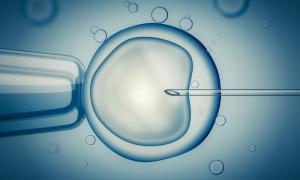 Babymakers on TV3:As someone who has had IVF, I felt it lacked this one thing