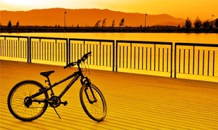 Newport Cycle Hire & Repair