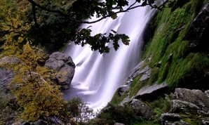 Powerscourt Waterfall