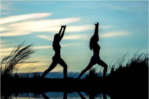 Wellness