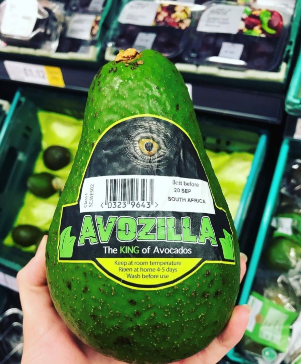 Popular Giant Avozilla Avocados Back In Tesco