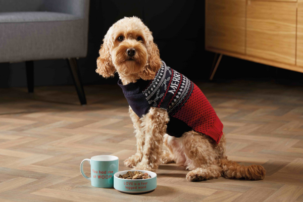 Aldi christmas clearance dog jumpers