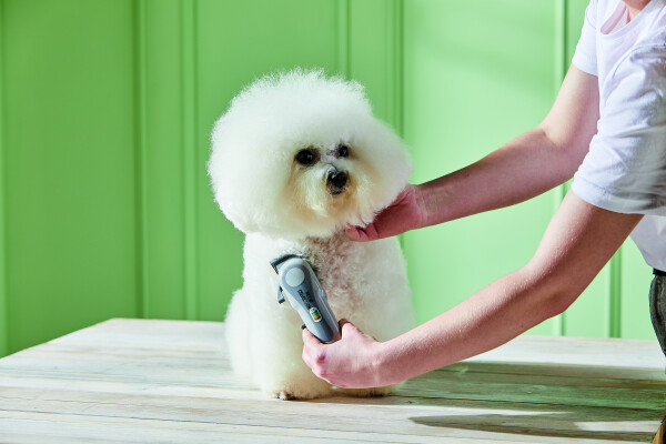 Aldi pet outlet clippers