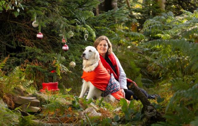 The new dog travel bed by DogDry would make a perfect gift for your furry friend this Christmas