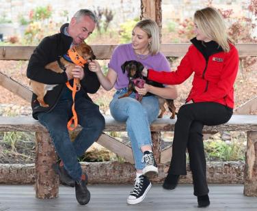 Eight out of ten adults believe having a pet has a positive impact on their mental health
