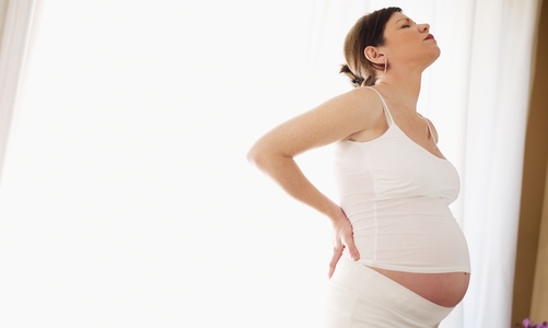 Back to Basics Chiropractic