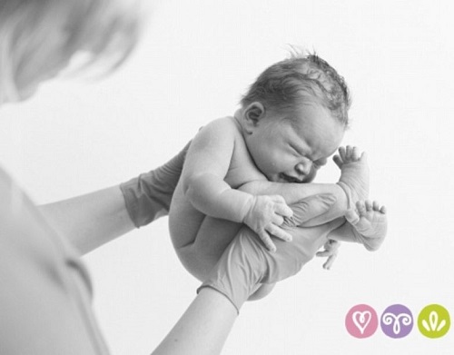 Dutch photographer Mary Fermont takes stunning photos moments after babies  are born